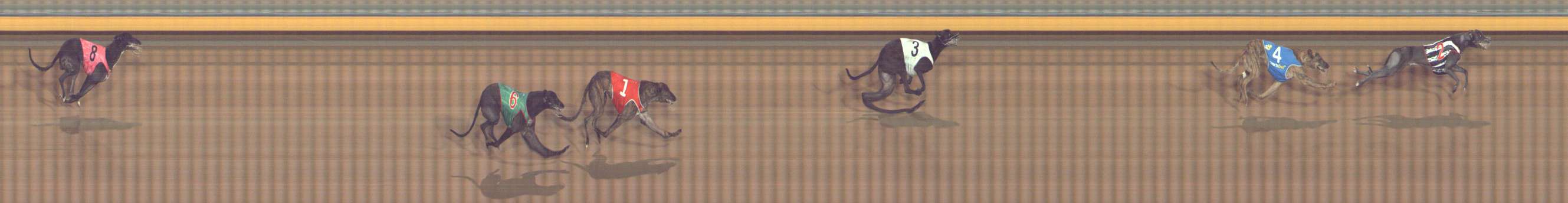 Race result finish photo